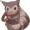 12295998