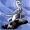 ShinySalazzle