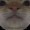 Mrzapblob23