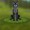 Shadowpaw