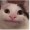 Jason-cat