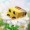 Bee-happy-all