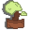 BonsaiCosmico