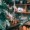 SawPlants