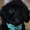 ZiggTheDog