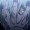 shigaraki1234