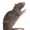TherandomRat