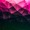 Spectrum-Glass