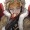Keigo-Hawks