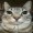 AccountOfPixels