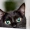 blackcatlick