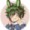 izuku-mid0riya