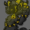 MoxiCat96