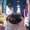 Da-pug