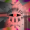 Eyesabove