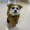 DogPower2012