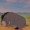 eeyore-the-donk