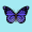 bluefly