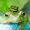 frogs-aj