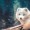 Arcticfoxlove