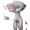 FoxLikeCat