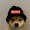Supreme-Doggo
