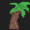 Coconut-Tree