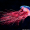 Lazy-Jellyfish