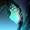 NIghtlighter1