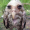Disabled-Owl