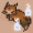 Foxi-Kitsune