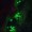 HaloMArie3714