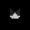 Mr-Tuxedo-Cat