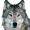 SnowWolf1515