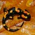 Salamanderss