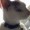 gracethegrape12