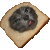 Mapache