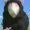 lensbawls