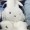 CloudyPanda325