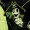 deadfrequency