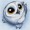 Nyteowl