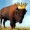 BuffaloKing5000