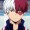 ShotoTodoroki13