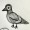 Corvid-comics