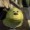 Theshrekening