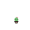 Cactus246