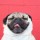 DaChubbyPug