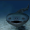 RayzerPlayz