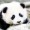 MildlyPanda