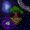 TheForrest